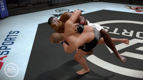 MMA - Mixed Martial Arts