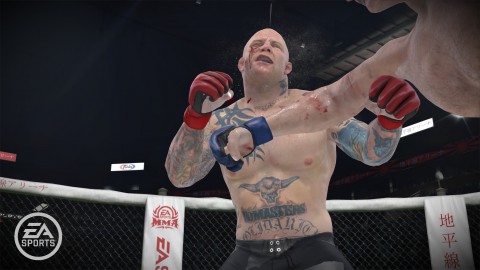 MMA - Mixed Martial Arts