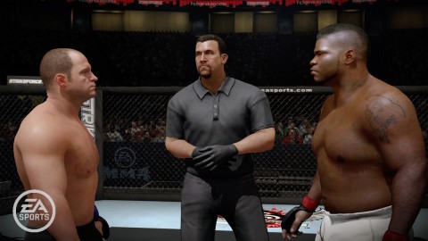 MMA - Mixed Martial Arts
