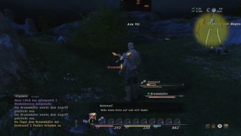 Final Fantasy 14 (PC)