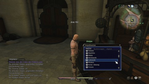 Final Fantasy 14 (PC)