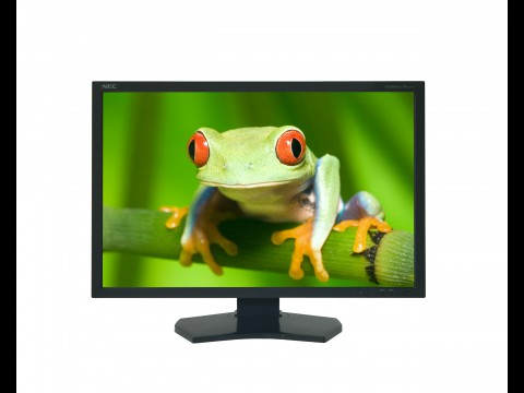 NEC Multisync PA301W