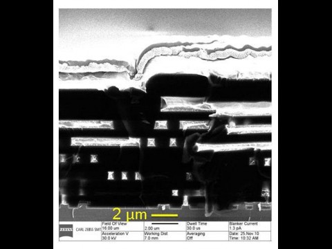 ... und ein Bild aus dem Elektronenmikroskop (Bild: Universit&auml;t Twente)