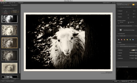 Silver Efex Pro 2 - vergilbt (Foto: Andreas Donath)
