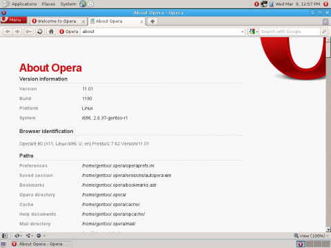Gentoo LiveDVD 11.0