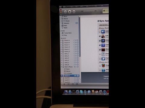 Die eingesteckten iPods in iTunes (Foto: mw)
