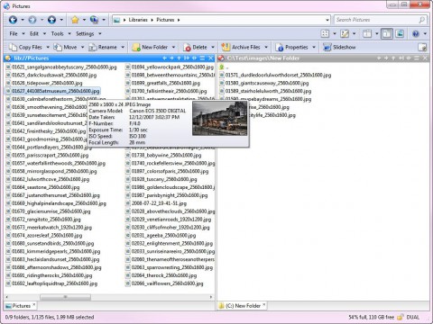 Directory Opus 10 - Bildvorschau mit Exif-Daten-Ausschnitt