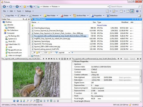 Directory Opus 10 - Bildbetrachter mit Exif-Daten