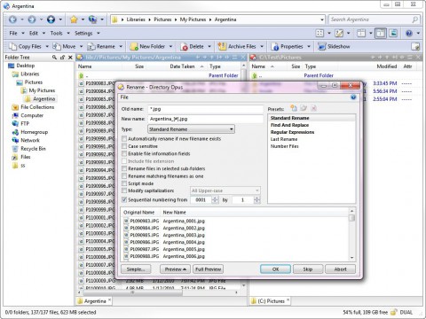 Directory Opus 10 - Umbenennung von Dateien mit regul&auml;ren Ausdr&uuml;cken