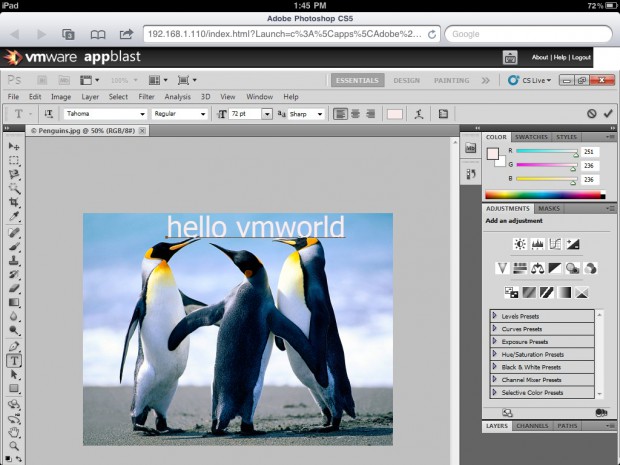 VMware Appblast