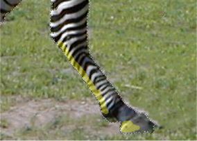 Schnellauswahl-Werkzeug in Photoline 17 (Bild: Computerinsel)