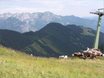 Zweites Objekt entfernt (Bild: Computerinsel)