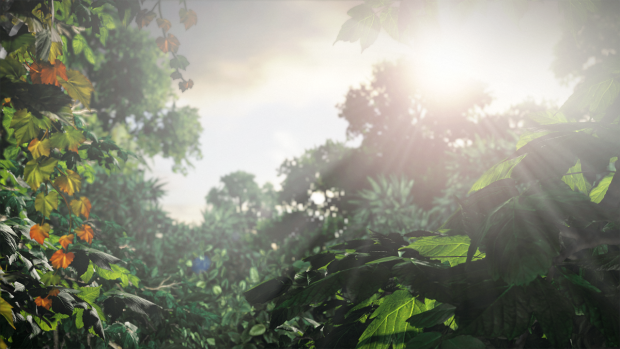 The Last of Us