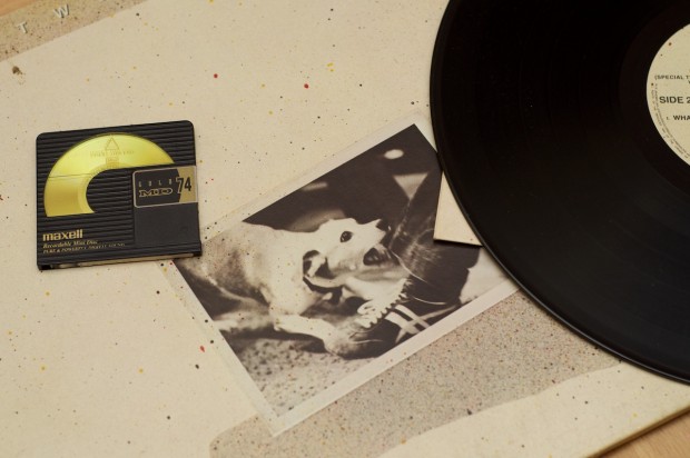 Schallplatten werden heute noch gepresst, auch wenn es nur noch wenige Maschinen gibt und diese mittlerweile gesucht werden. (Bild: Andreas Sebayang/Golem.de)