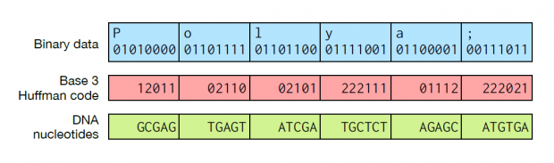 Übersetzung binärer Informationen in DNA per Huffman-Kodierung (Bild: Microsoft Research)