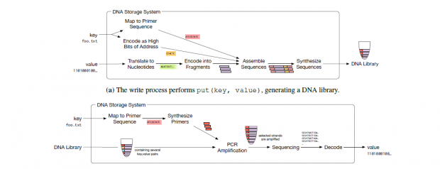 Schreib- und Lese-Prozess der DNA (Bild: Microsoft Research)