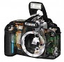 Canon EOS 20D: Spiegelreflexkamera mit 8,2 Megapixeln