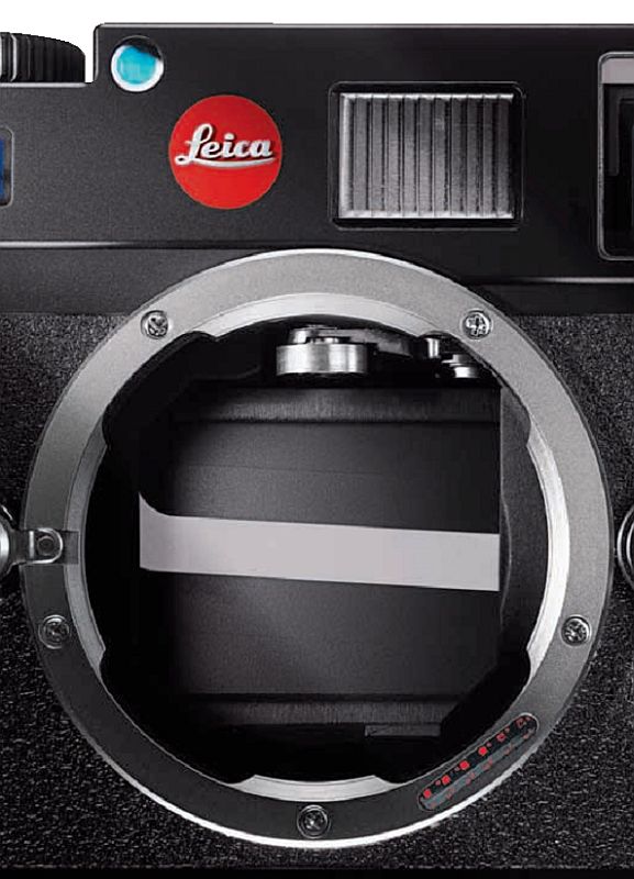 Leica M8