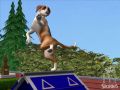 Die Sims Tiergeschichten