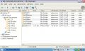 Dateimanager im Windows-Look