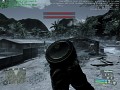 Crysis mit 'MGPU'
