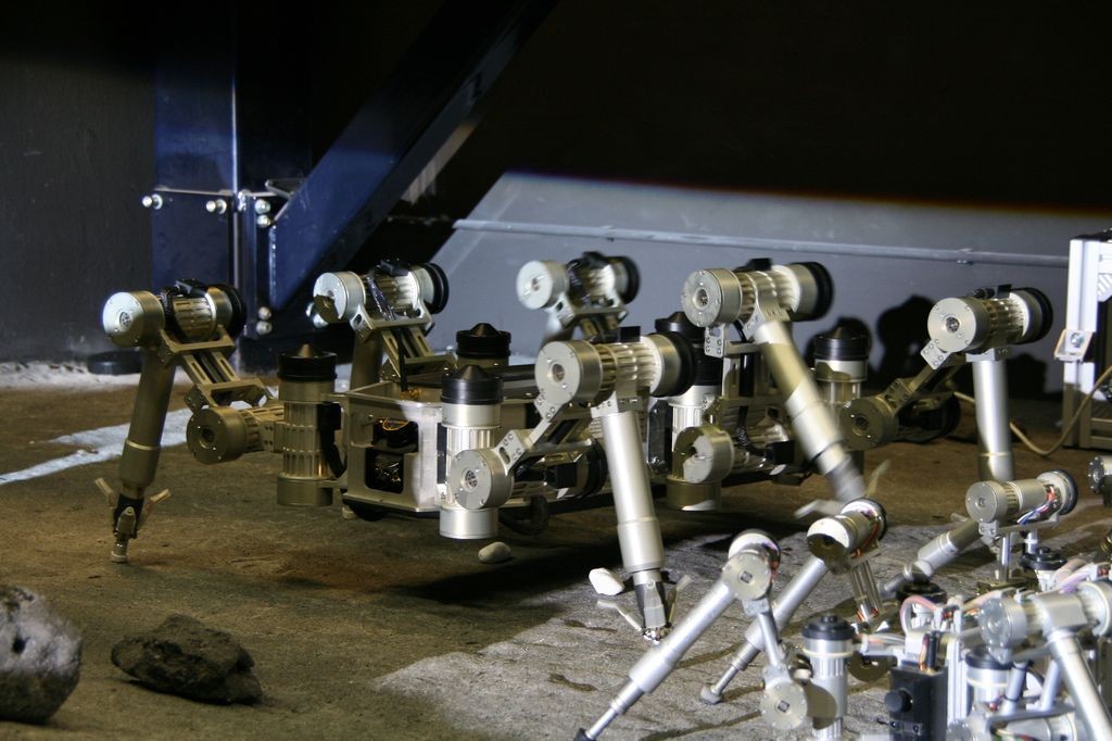 Der sechsbeinige Scarabaeus ist der größere Bruder des Scorpion