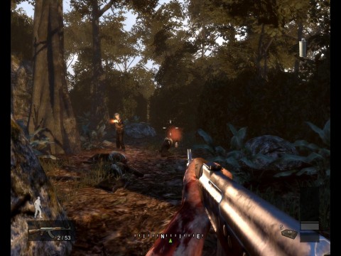 In einigen der Waldgebiete wirkt die Grafik gut.