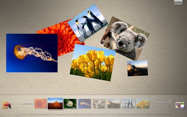 Surface Collage