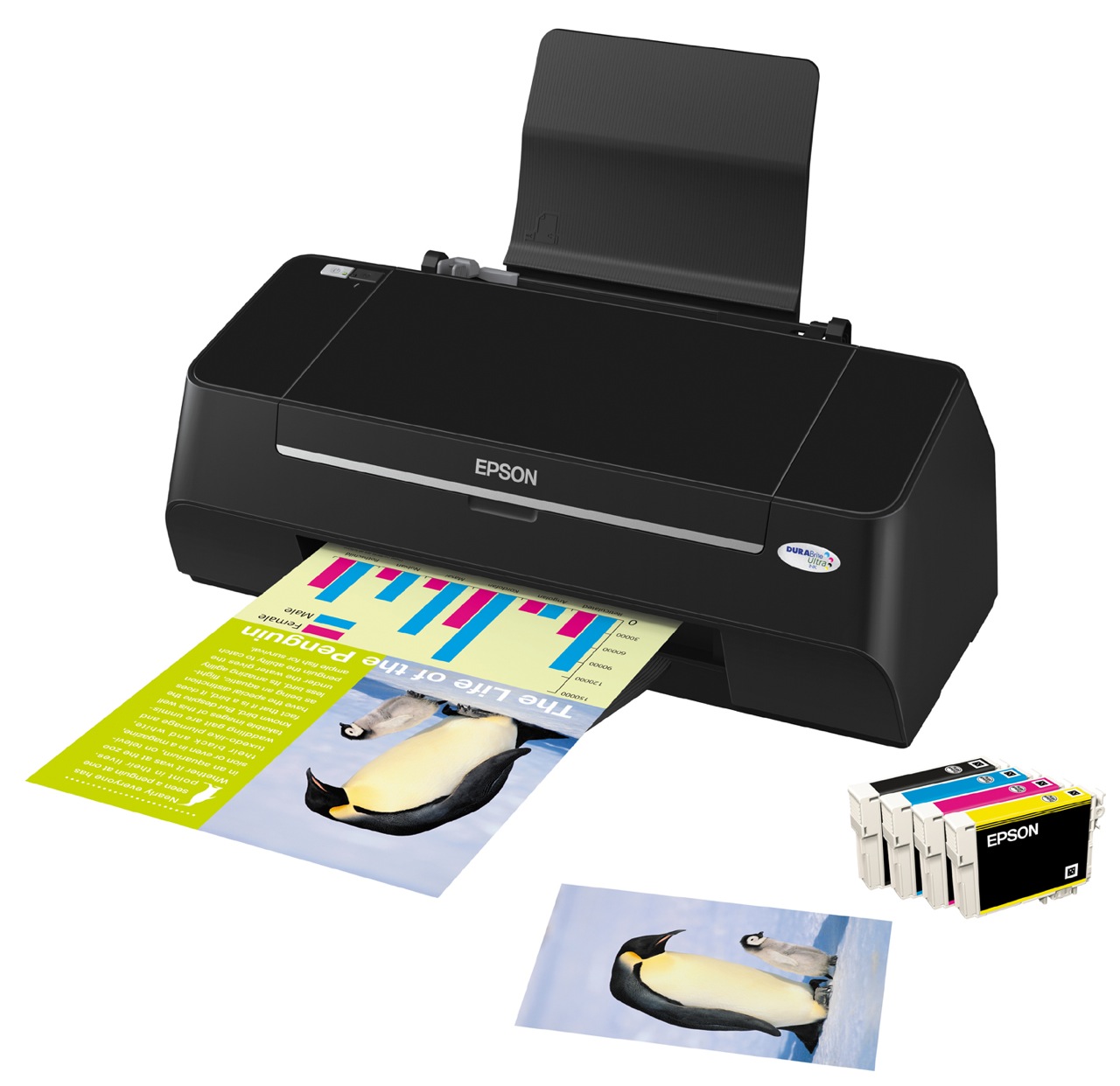 drucker wlan einzelpatronen