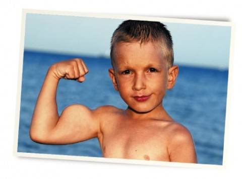 Magix Xtreme Foto und Grafik Designer 5