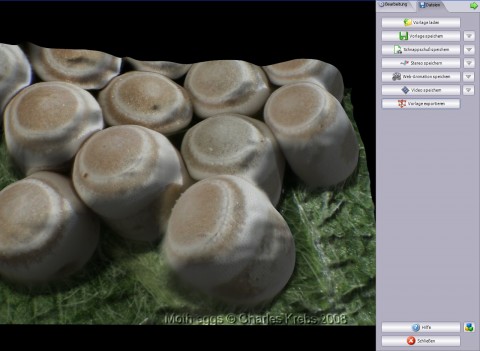 Helicon Focus Pro - 3D-Animation