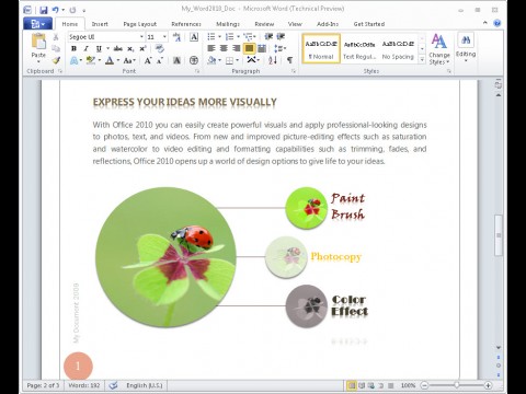 Word 2010 - SmartArt