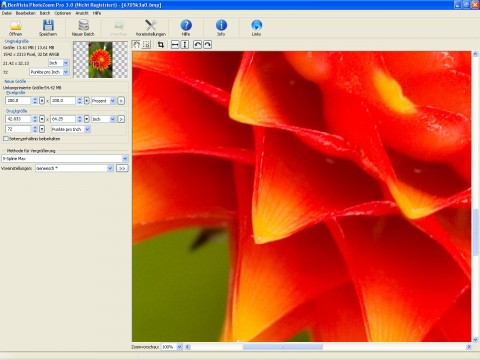 Vergr&ouml;&szlig;erung 200 Prozent
