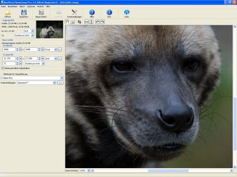 Original in 100 Prozent Darstellung