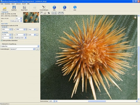 Original in 100 Prozent Darstellung