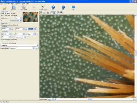 Extreme Vergr&ouml;&szlig;erung sorgt f&uuml;r stilisierte Darstellung am Bildschirm.