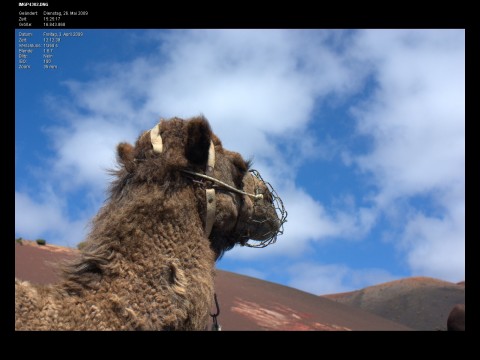Picmeta Systems PIE - Bildbetrachter (Foto: Andreas Donath)
