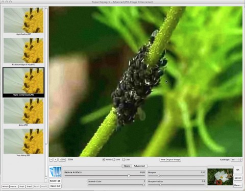 Topaz Labs DeJPEG 3.0 nachher