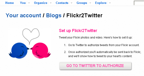Autorisierung f&uuml;r Twitter-Zugriff