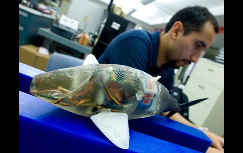 Sein K&ouml;rper wird aus Kunststoff gegossen. (Foto: Patrick Gillooly/MIT News Office)