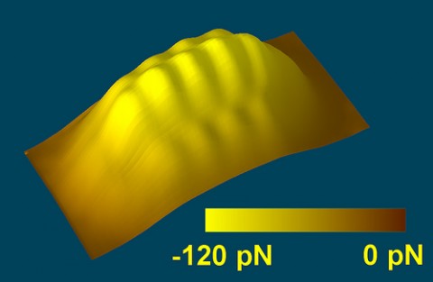 Die Verteilung der Kr&auml;fte als Wolke