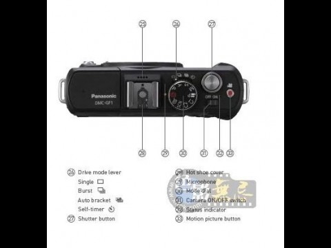 Panasonic GF1 (Bild aus xitek-Forum)