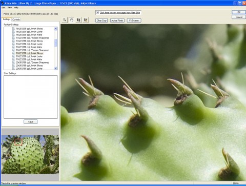 Ergebnis einer 335% Vergr&ouml;&szlig;erung mit Alien Skin Blow Up 2