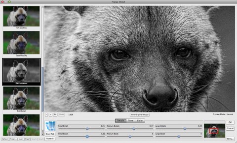 Topaz Detail gesch&auml;rft und in S/W umgewandelt