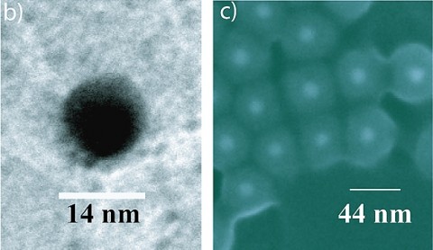 Der Goldkern und mehrere Spaser unter dem Rasterelektronenmikroskop (Bild: Purdue Universit&auml;t)