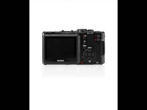 Sigma DP1x