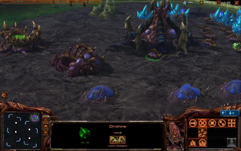 Starcraft 2: Zerg