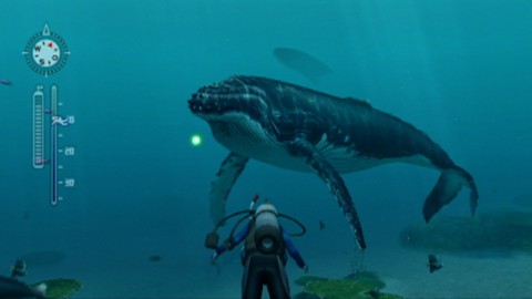 Die Begegnung mit dem Wal und seinem Kalb wird musikalisch untermalt.