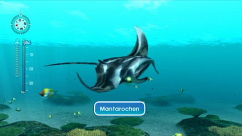 Bei neu gefundenen Spezies wird deren Namen eingeblendet.