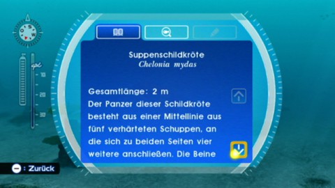 Zus&auml;tzlich zum Namen werden mehrseitige Informationen zu den Meerestieren geliefert.